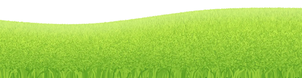 A smooth green hill under a bright sky.
