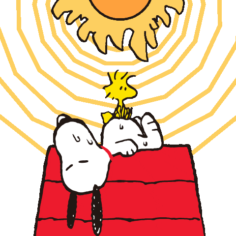 Snoopy sunbathing on his red doghouse while Woodstock stands on him.