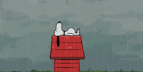 Snoopy lying on his doghouse in the rain.